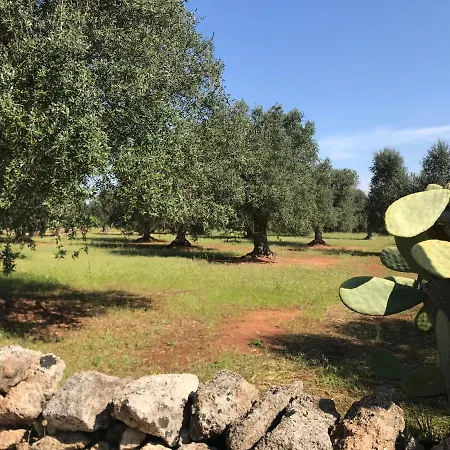 Nocleg ze śniadaniem Tenuta Agnusdei