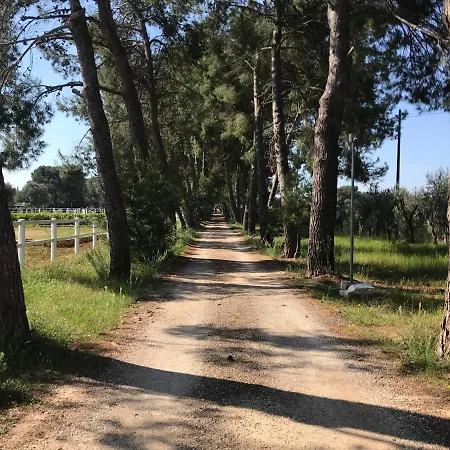 Nocleg ze śniadaniem Tenuta Agnusdei