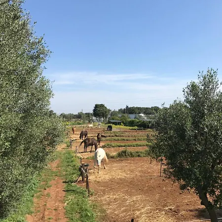 Tenuta Agnusdei