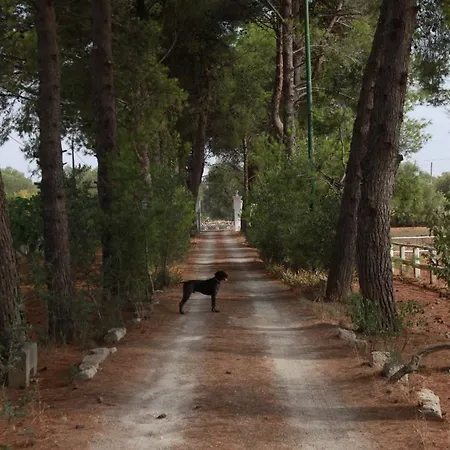 Tenuta Agnusdei * מנדוריה