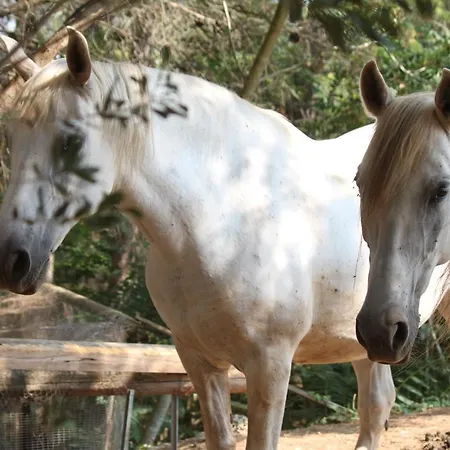 Nocleg ze śniadaniem Tenuta Agnusdei Manduria