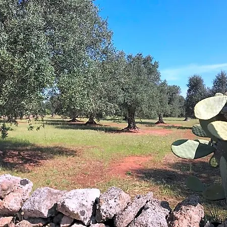 Tenuta Agnusdei