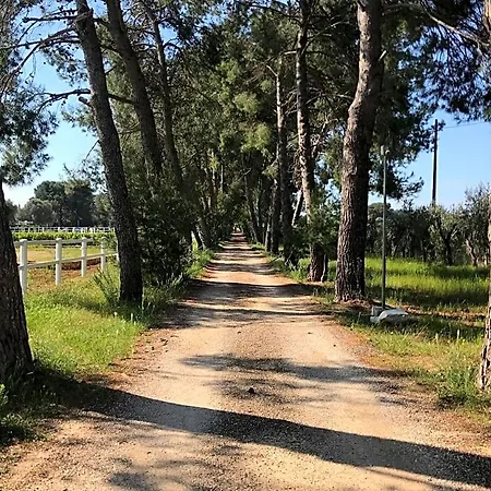 B&B Tenuta Agnusdei 4*