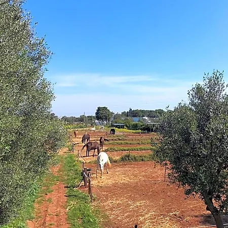 B&B Tenuta Agnusdei 4*