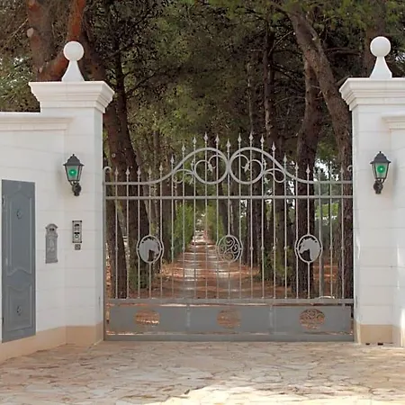 Tenuta Agnusdei
